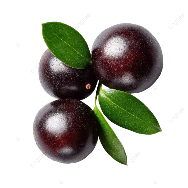 白色表面的绿叶新鲜巴西莓工作室拍摄微距镜头