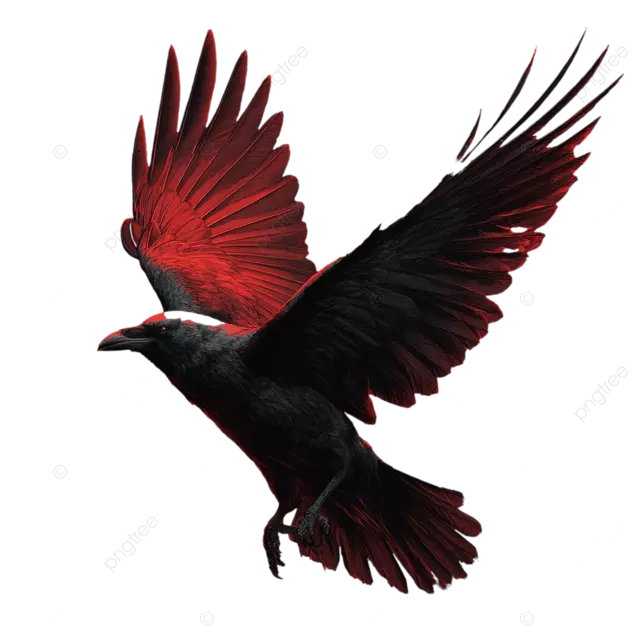 黑渡鸦展开双翼，孤立于红色背景之上，营造出戏剧性的电影灯光效果。