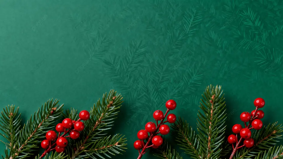 圣诞节绿色松枝红果背景