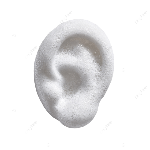 优雅的白色洗发水泡沫形状像人耳
