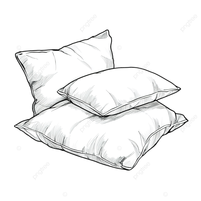 白色背景上的着色书和英语学习者的枕头图标