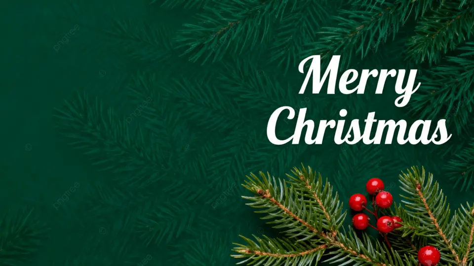 圣诞节绿色 merry christmas 松枝插画背景