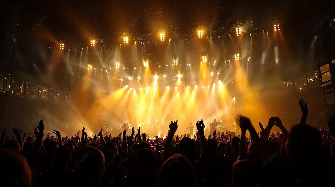 音乐会人群的剪影在令人振奋的气氛中明亮的舞台灯下