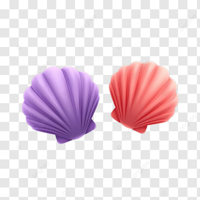 两扇贝壳紫色和粉红色