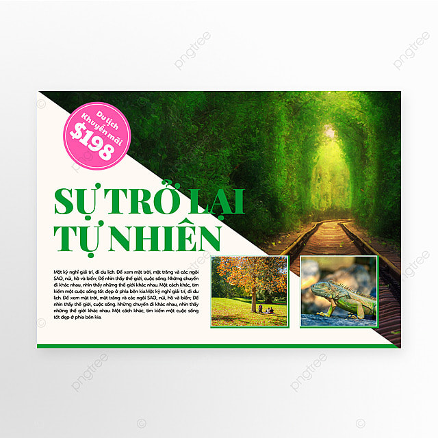 越南旅游宣传传单