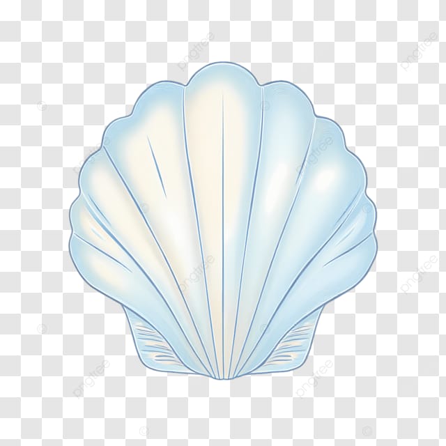 蓝色的贝壳在黑色背景下