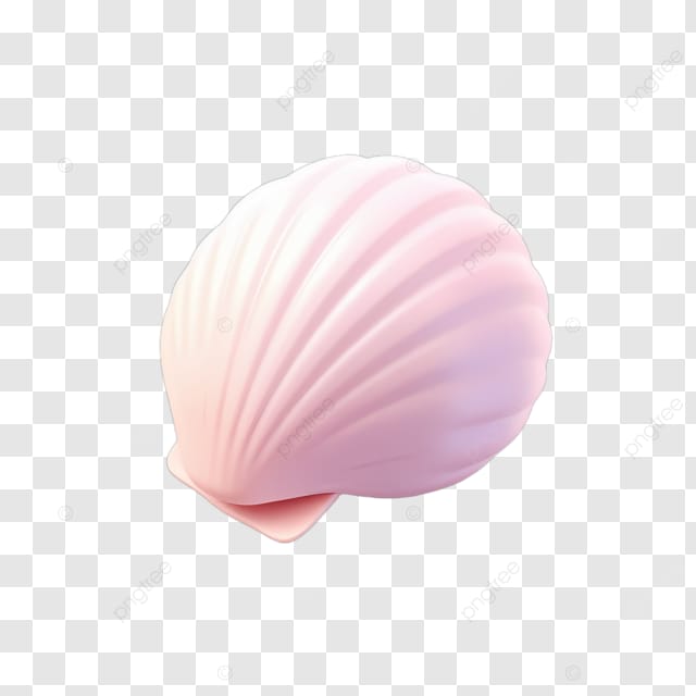 粉红色海螺贝壳