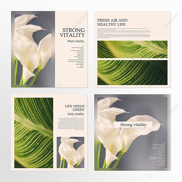 空间植物花卉自然组图