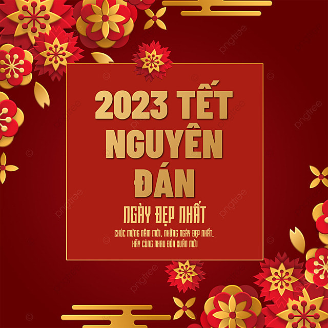 越南新年杏花社交媒体模板