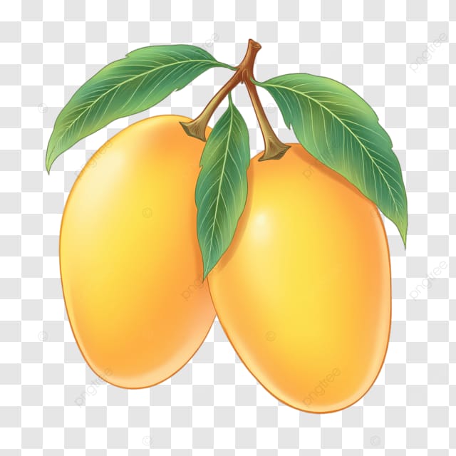 黄色的芒果带叶子
