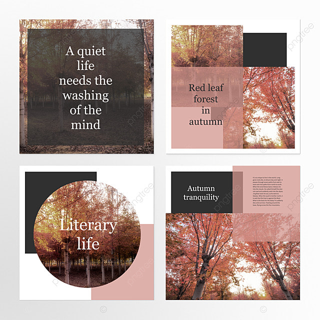 空间植物秋季自然组图