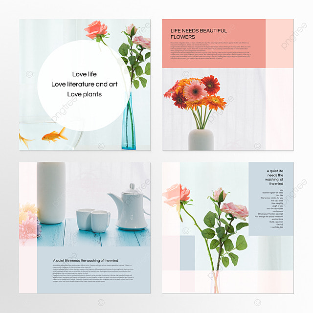 空间植物自然社交媒体组图