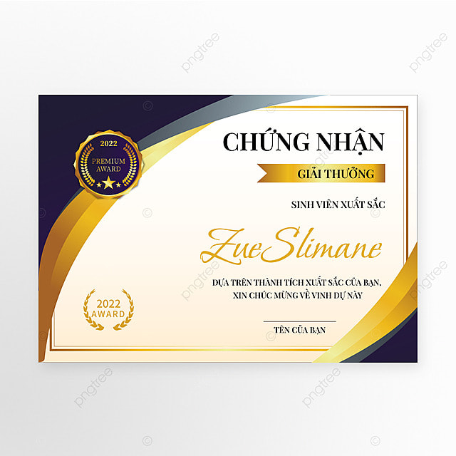 越南获奖证书简约模版