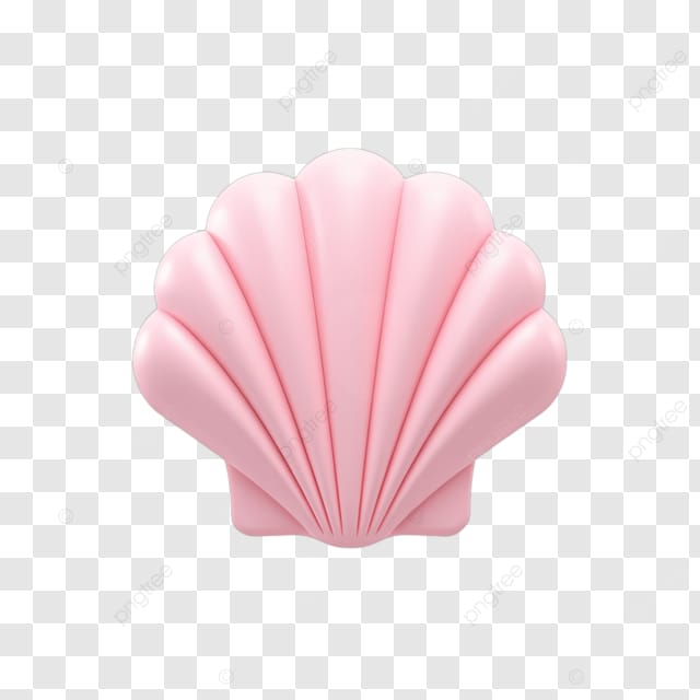 粉色贝壳形装饰品