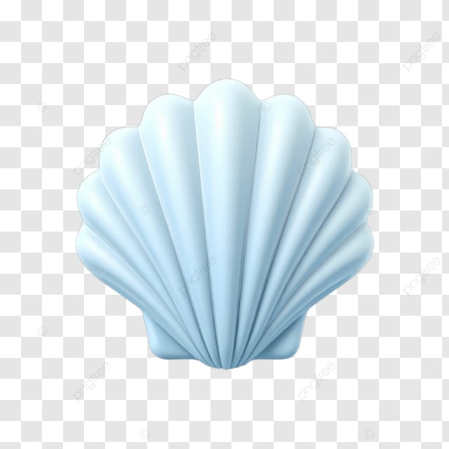 海洋的象征贝壳