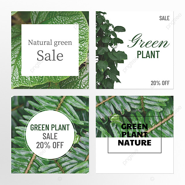 时尚简约风格绿植宣传活动instagram模板