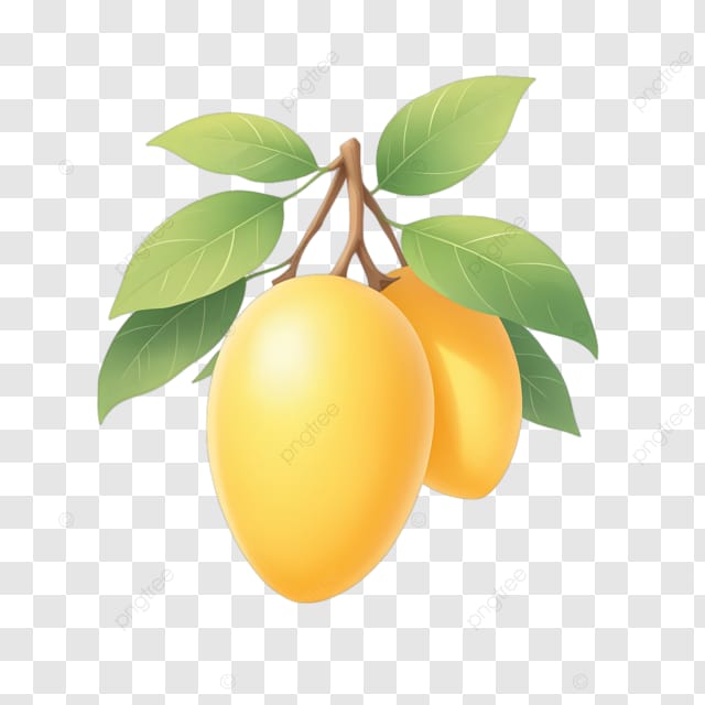 两个芒果在芒果的树枝上生长