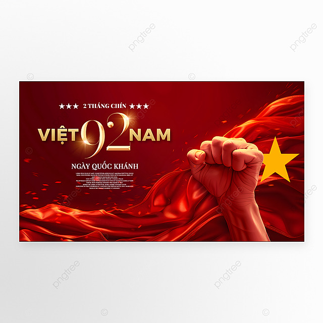 拳头越南国旗金色光效国庆日节日庆祝网页横幅