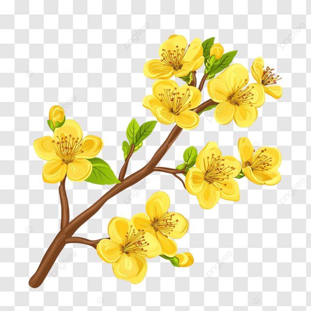 杏花花瓣越南新年动画片