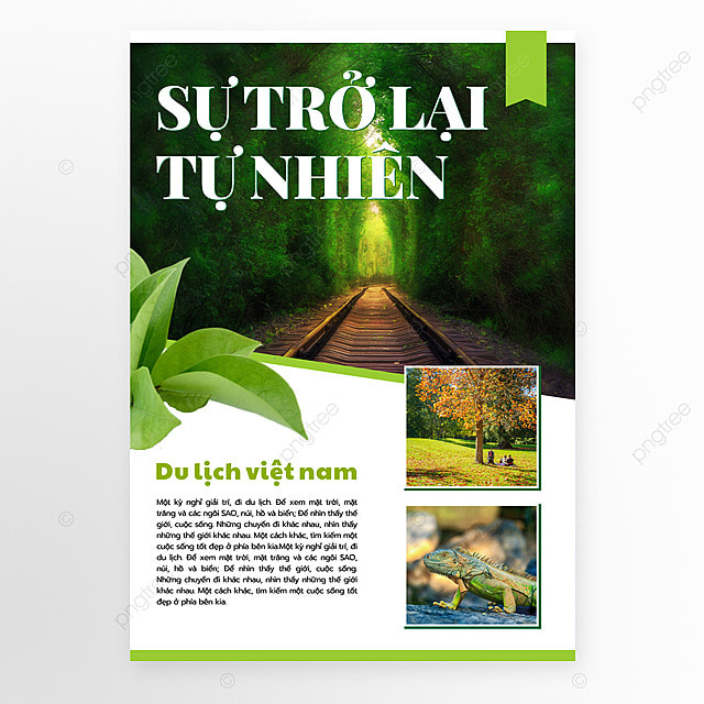 越南旅游宣传传单大自然风光传单