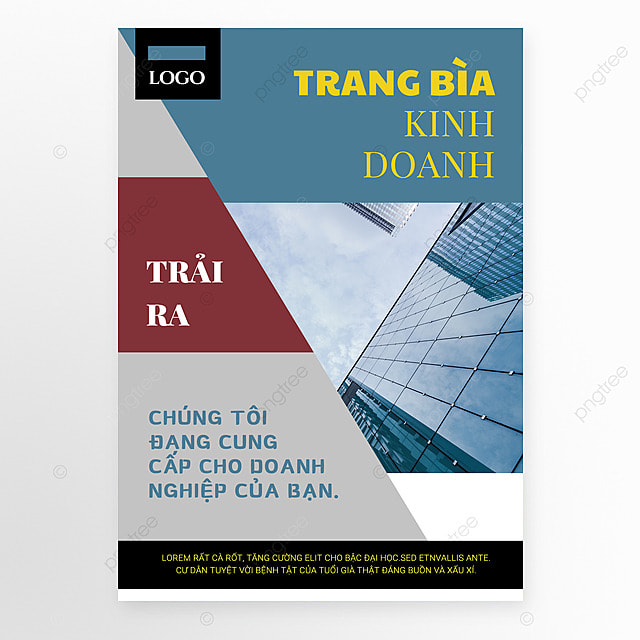 红蓝商业陈旧风格越南商业单面手册