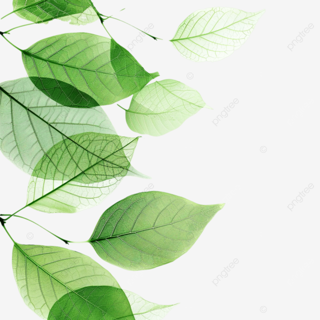 绿叶背景ppt元素