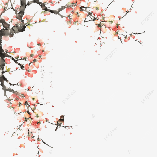 淘宝背景
