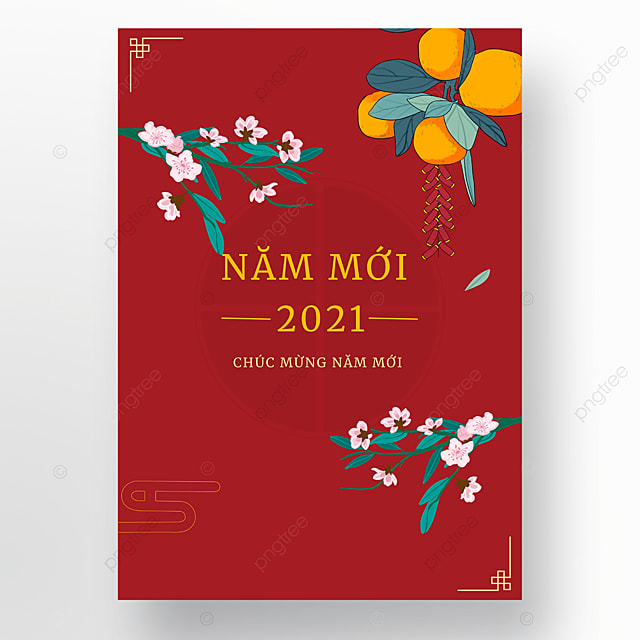 红色背景花朵水果越南春节