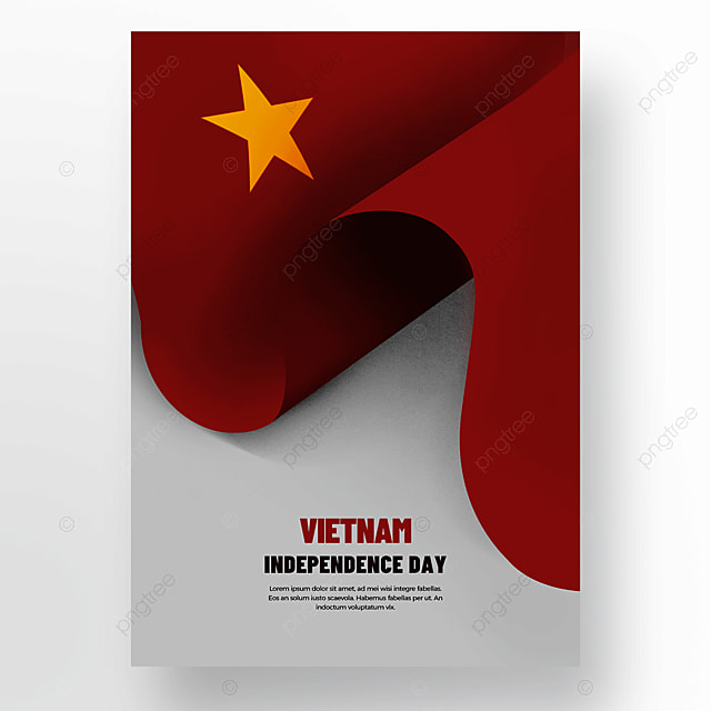 越南红色质感国旗国庆日海报