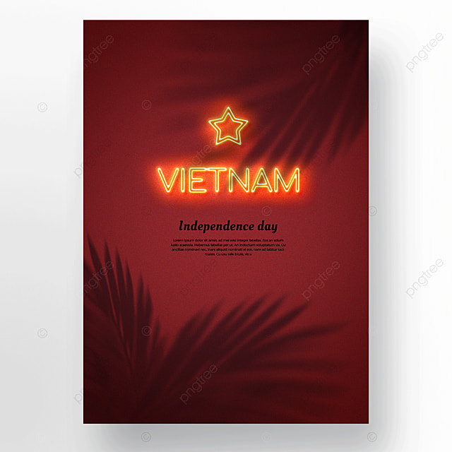 霓虹灯剪影越南国旗星星国庆日海报