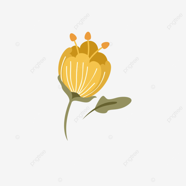 越南教师节卡通风格黄花 向量