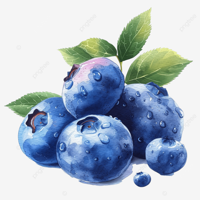 水彩果汁蓝莓剪贴画