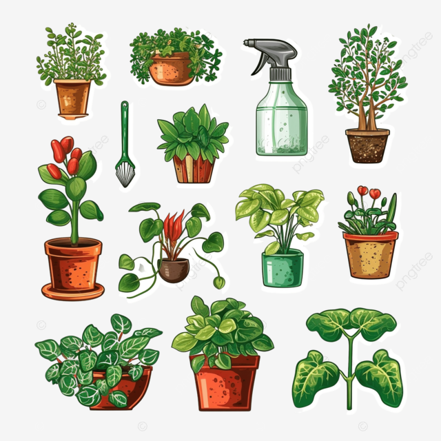 植物喷雾植物园艺工具套件花园收藏套装不干胶标签