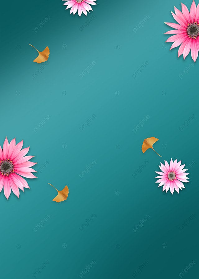 秋天促销花朵