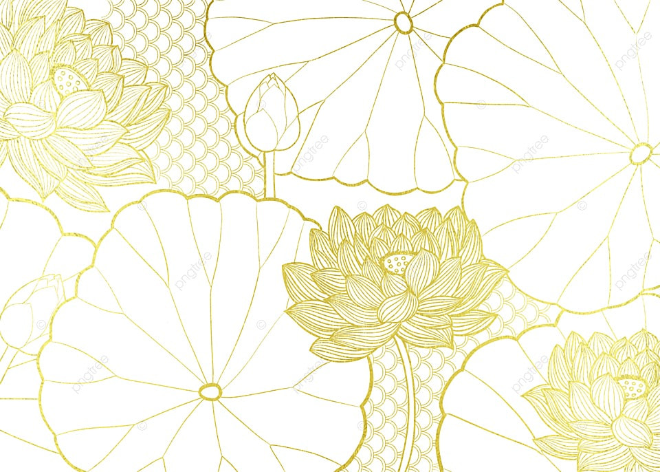 金箔莲花荷叶背景