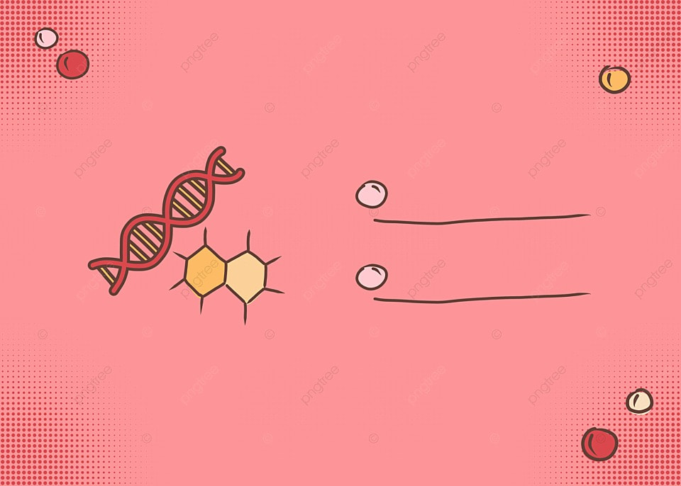科学教育极简中心
